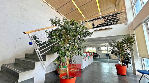 Nethaus Vende Gran Edificio Multiuso En Enea Pudahuel