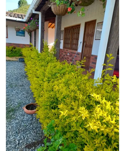 Finca En Venta En El Municipio De Marinilla Antioquia