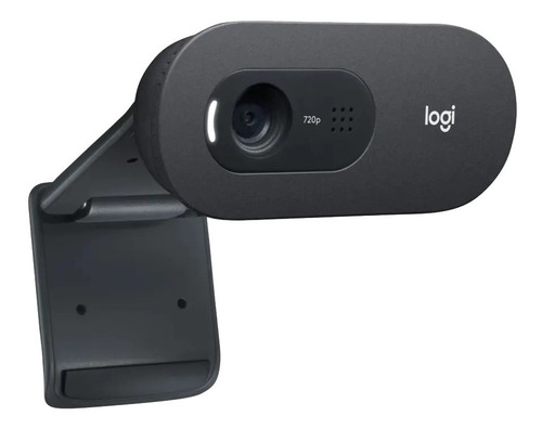 Camara Web Logitech C505 Hd 720 Mic Largo Alcance Cta
