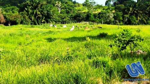 Imagem 2 de 12 de Fazenda Com 83 Tarefas Em Catu - Bahia - Afd069 - 70759118