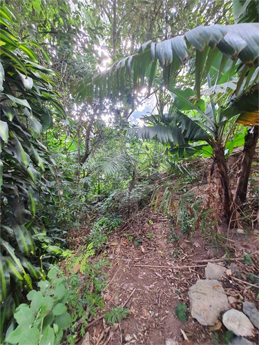 Imagem 6 de 15 de Terreno-são Paulo-campo Limpo | Ref.: Reo650663 - Reo650663