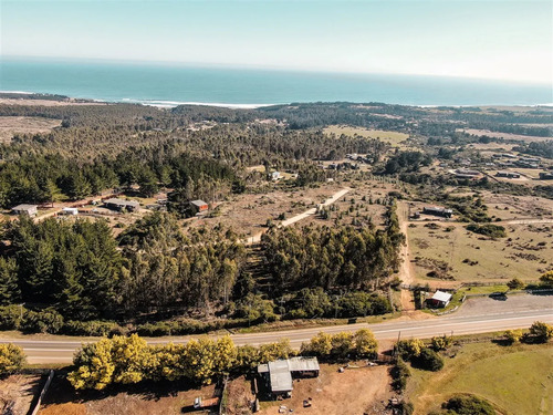 Terreno De 5.000m2 En Pangal, Con Vista Ak Mar Urbanizado