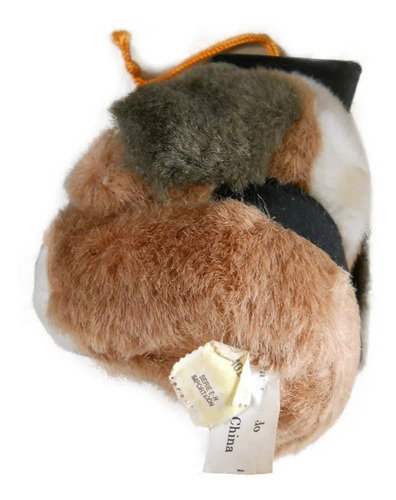 Peluche Egresado Perro Con Birrete Tamaño Chico (Usado)