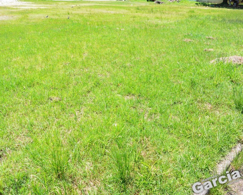 Imagem 2 de 7 de Terreno A Venda Em Peruíbe - 4800 - 67614537