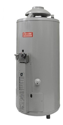 Termotanque multigas Eskabe Acquapiú A5 800 M gris plata 52L