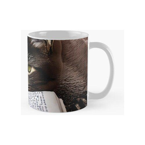 Taza Gato No Puede Leer Calidad Premium