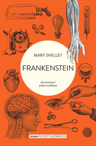 Frankenstein - Shelley, Mary