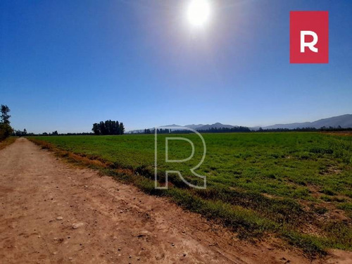 Imagen 10 de 10 de Terreno 5000 M2/ Calle Los Perros/ Talagante