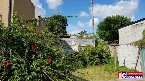 Imagen 3 de 3 de Lote En Ituzaingo Norte En Muy Buena Ubicación