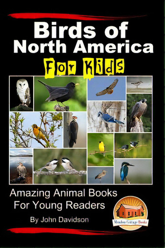 Birds Of North America For Kids - Amazing Animal Books For Young Readers, De Mendon Cottage Books. Editorial Createspace, Tapa Blanda En Inglés