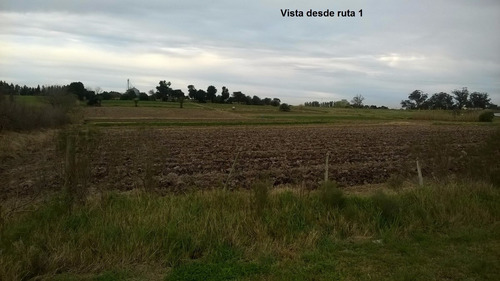 Campo Ruta 1 Km16 Campo Con Frente También A Cno. Las Flores