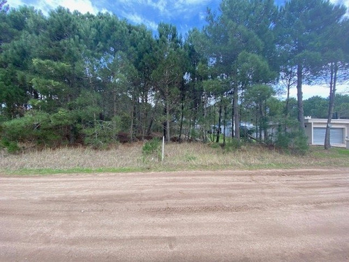 Imagen 6 de 8 de Oportunidad Venta De Lote Zona Alamos !!!!!