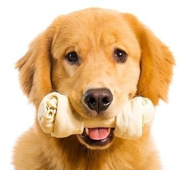 Carnaza Tocino Forma Hueso 9-10 Fancy Pets Perros Mascotas