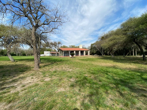 Arriendo /alquilo En Colonia Celina Entre Rios , Sobre El Rio 5 1/2 Hectareas