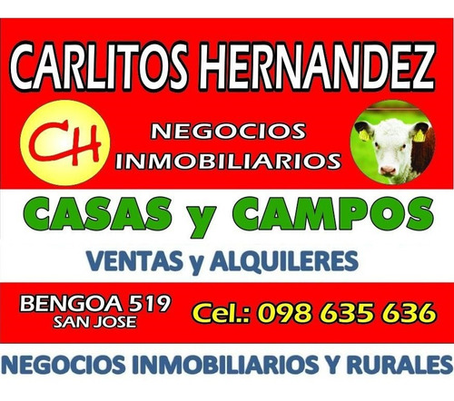 Imagen 14 de 14 de Ref 750) ** Muy Lindo Apartamento De 1 Dormitorio Para La Venta En San José