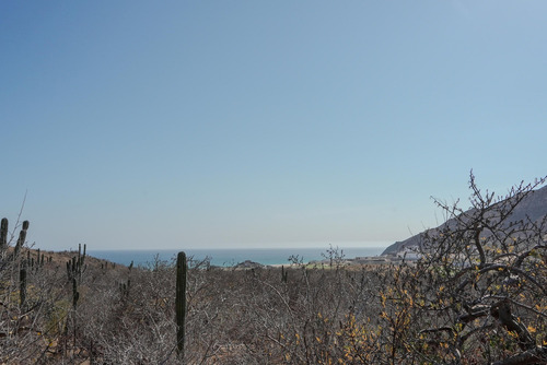 4-4a P Colinas, La Laguna/quivira