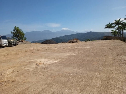 Imagen 1 de 20 de Terreno En Venta Plano 4000m2 En Potrerito San Antonio De Los Altos
