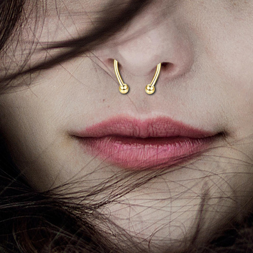 Anillo De Nariz Falsa Piercing Falso Magnético Septum Moda