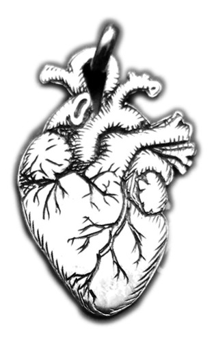 Dije Corazón Real De Anatomía Grabado En Plata 925