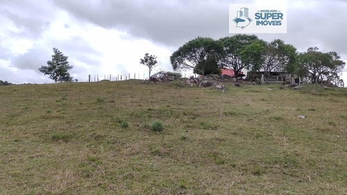 Imagem 7 de 30 de Chácara A Venda No Bairro Centro Em Morro Redondo - Rs. - 2181-1