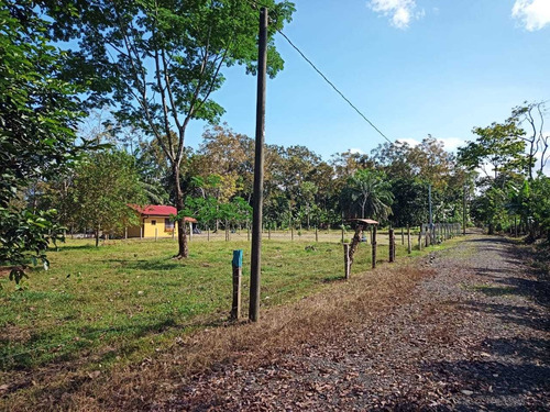 Imagen 5 de 14 de Lotes En El Molino (2000m2)