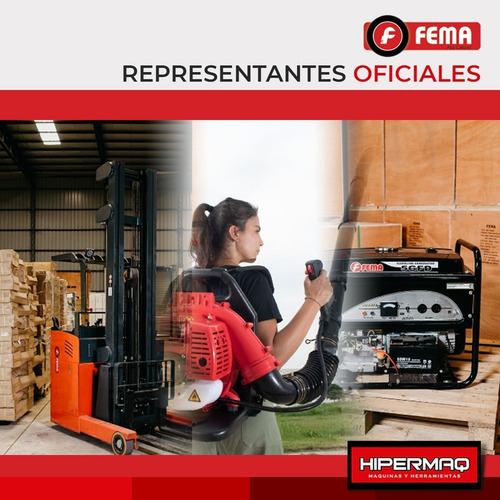 Imagen 3 de 7 de Aspiradora Profesional Fema 60 Lts 1200 W Acero Inox Ruedas