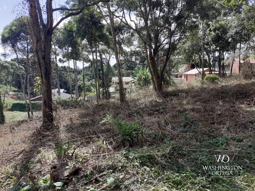 Imagem 10 de 14 de Chácara À Venda, 34000 M² Por R$ 1.900.000,00 - Colônia Murici - São José Dos Pinhais/pr - Ch0061