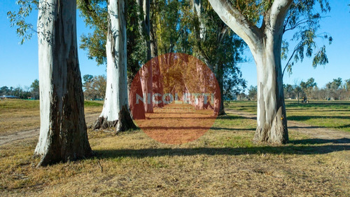 Imagen 12 de 13 de Venta Lote| La Asuncion | Lote Central | 100% Financiación