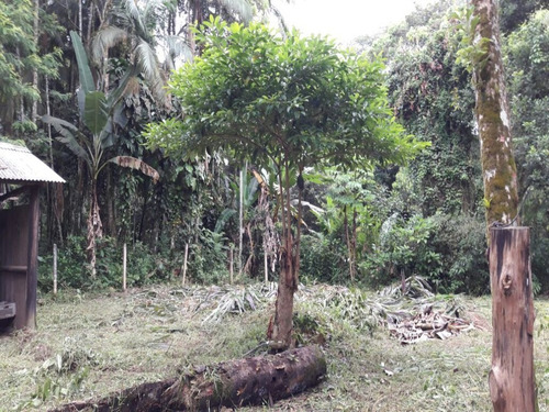 Chacara - Colonia Pereira - Ref: 34886498 - V-ch00072