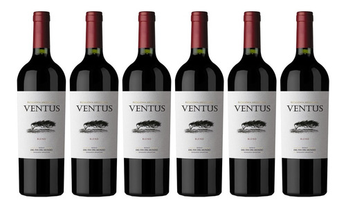 Vino Ventus Red Blend Fin Del Mundo X750cc Caja X6