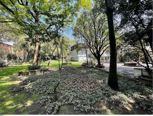 Imagen 10 de 15 de Venta Terreno En Las Flores, Flor De María 5,368m2