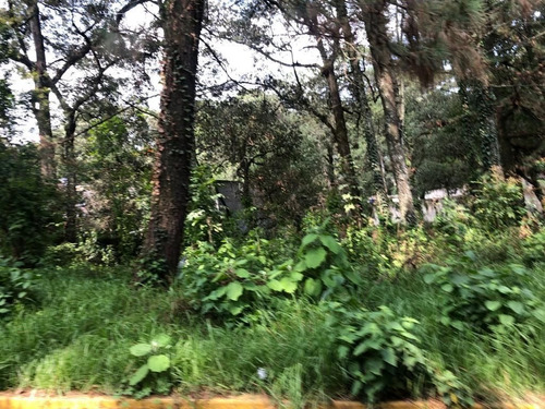 Imagen 8 de 8 de Aproveche Para Constuir Su Cabaña