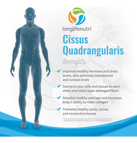 Extracto De Cissus Cuadrangularis | 180 Cápsulas Vegetariana