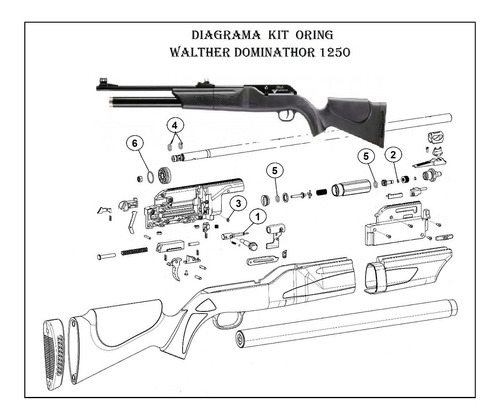 Kit Oring Pcp Walther Dominator 1250