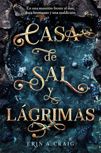 Libro: Casa De Sal Y Lágrimas. Craig, Erin A.. Plaza & Janes