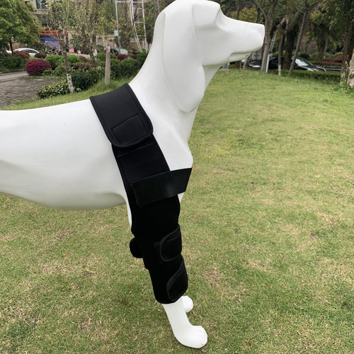Perro Rodillera Muñequera Vendas Mascota Codo Rodillera S