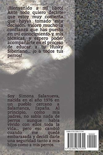 Cómo Adiestrar A Un Perro De Raza Husky Siberiano: Adiestram