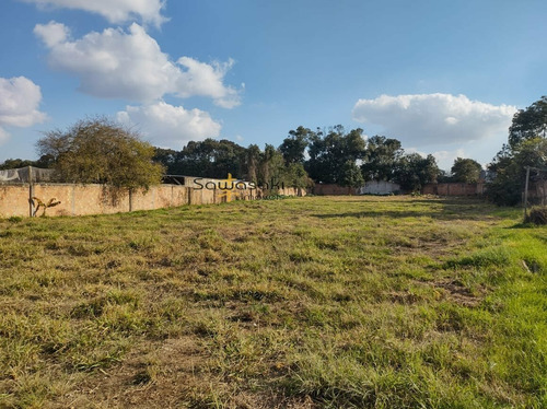Imagem 4 de 13 de Terreno Para Aluguel Em Uberaba Curitiba-pr - 7340