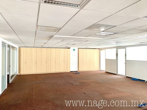 Excelente Oficina En Polanco, Miguel Hidalgo