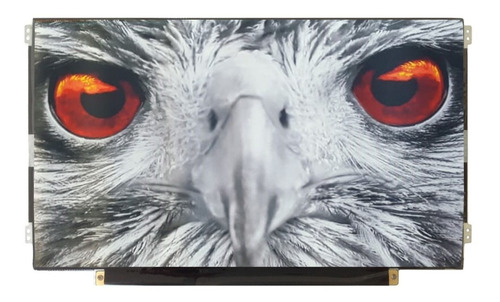 Display Pantalla P/ Laptop Compatible Con N116bge - L42