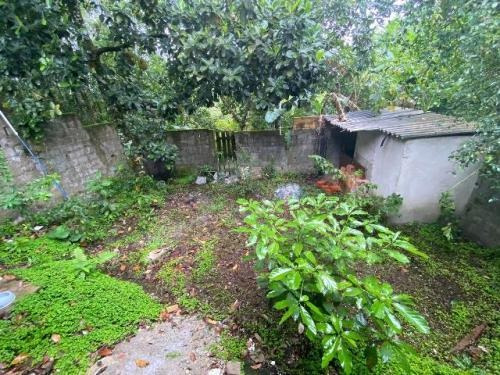 Imagem 6 de 14 de Casa Itanhaém Lado Serra 2km Da Rodovia.