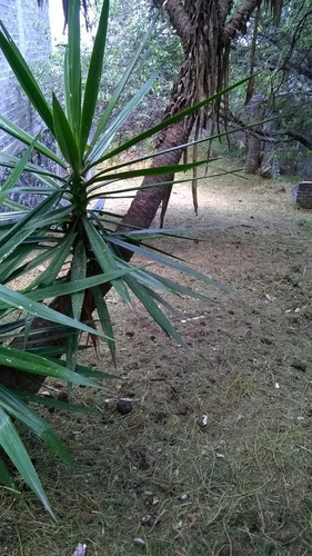 Terreno En San Andrés Totoltepec, Tlalpan