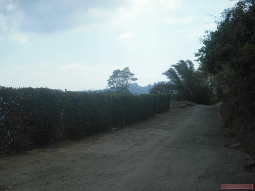 Imagen 2 de 16 de Terrenos En Venta