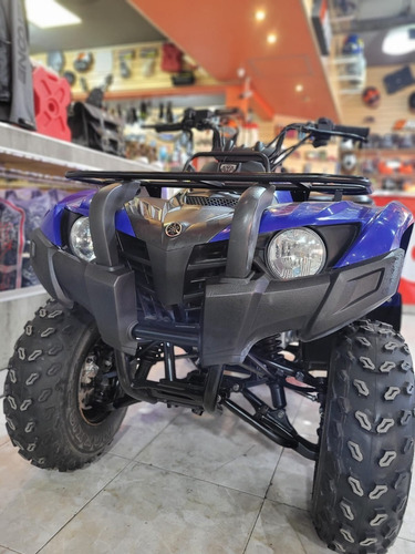 Imagen 9 de 13 de Yamaha Grizzly 300 Excelente Estado Tamburrino Motos
