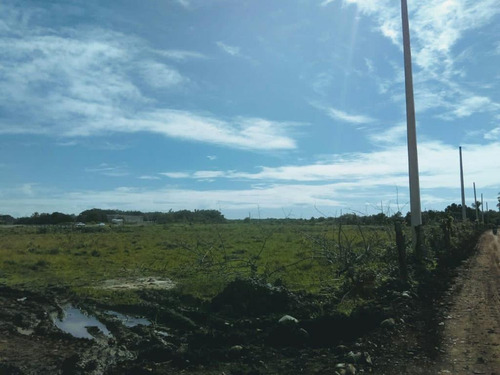 Solar En Alquiler Y Venta De Hato Nuevo Cerca De La Av. Circunvalacion De 19mil Metros