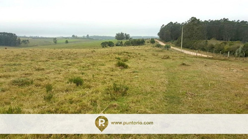 Punto Río | Campo En Castillos