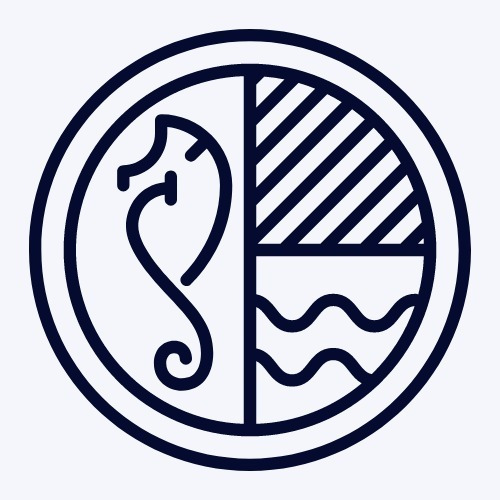 Pez Marino - Gomphosus Varius - Labrido Pájaro