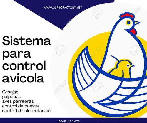 Imagen 6 de 6 de Programador Y Desarrollo De Páginas Web Y Sistemas A Medida