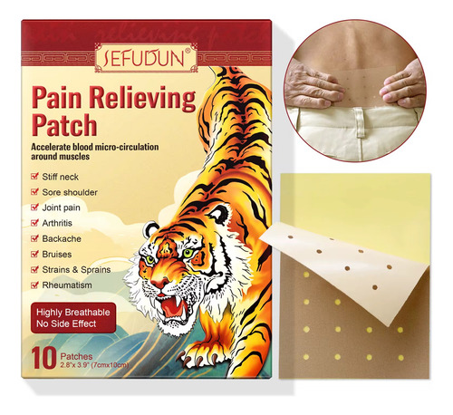 Parche Para Dolor Muscular, Artritis, Reumatismo 10 Pzas