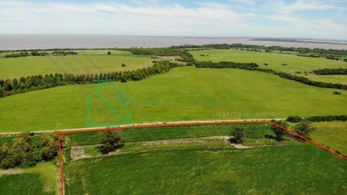 Imagen 9 de 13 de Martin Chico, Colonia - Campo Agricola Con Vista Al Rio De La Plata